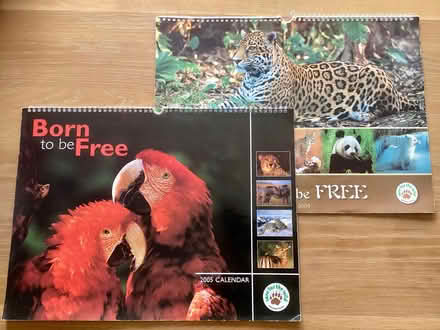Photo of free Large Wildlife Calendars x 2 (Woodchurch CH49) #1