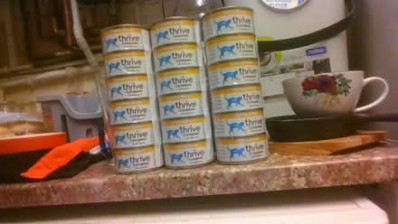Photo of free 18 cat thrive food (BA2) #2