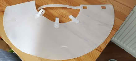 Photo of free Dog medical collar (Colyton EX24) #1