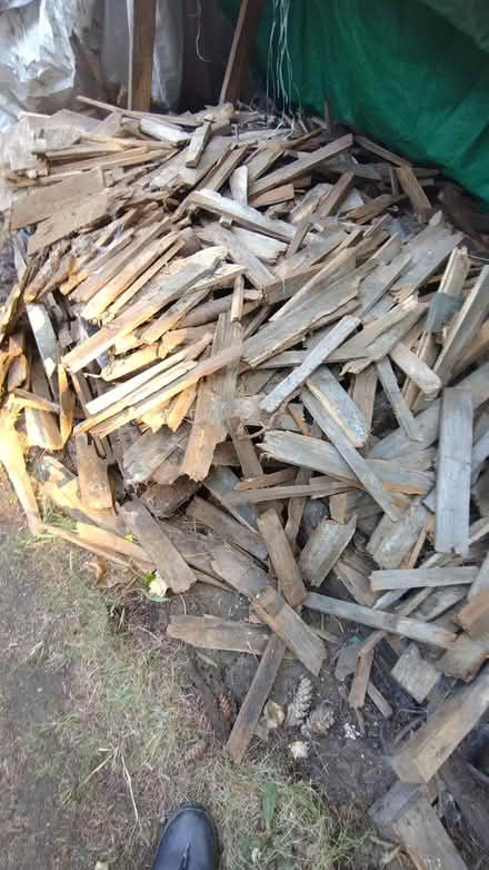 Photo of free Firewood (Fircrest) #2