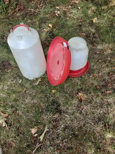Photo of free 2 watering jars for chickens (Jamaica Plain) #1