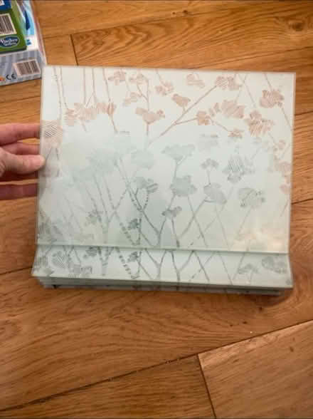 Photo of free Lovely Glass Place Mats x 8 (Cheshunt En8) #2