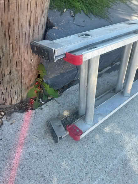 Photo of free 20’ ladder (M4J 2X9) #3