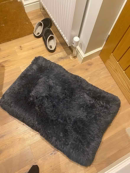Photo of free Brand new dog bed (Addingham LS29) #1