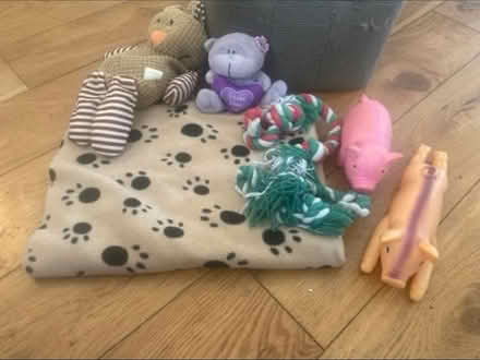 Photo of free Dog Toys & Blanket (Cheshunt En8) #2