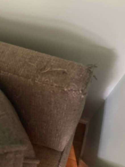 Photo of free Couch (Sandy Hook) #3