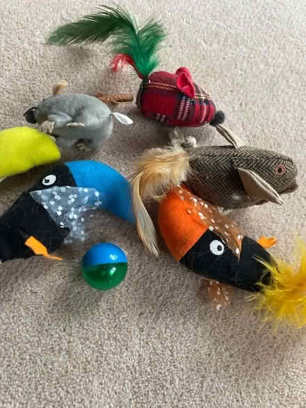 Photo of free Cat toys (Pin Green Industrial Area SG1) #1