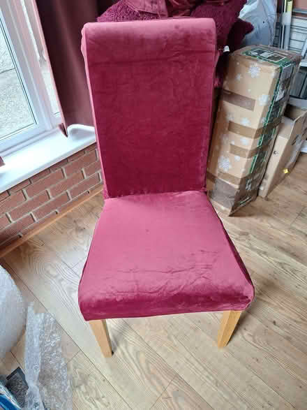 Photo of free Dining Chairs (Holywell NE25) #1