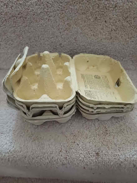 Photo of free egg boxes (Felden HP3) #1
