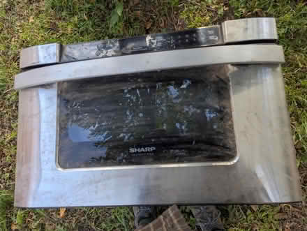 Photo of free Curb alert (Saugerties, ny) #3
