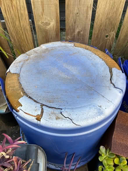 Photo of free Beer keg cooler, Igloo brand 🍻 (Oakland) #3