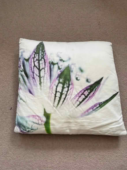 Photo of free Cushion (Witham CM8) #2