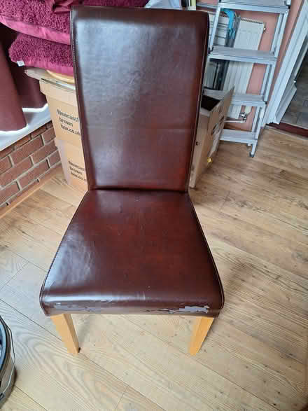 Photo of free Dining Chairs (Holywell NE25) #2