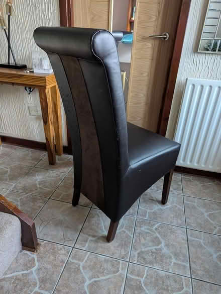Photo of free Dinning chairs 4 (Houston, Renfrewshire) #1
