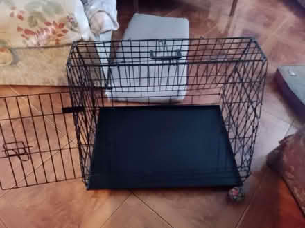 Photo of free Dog car crate (Mousehold NR3) #2