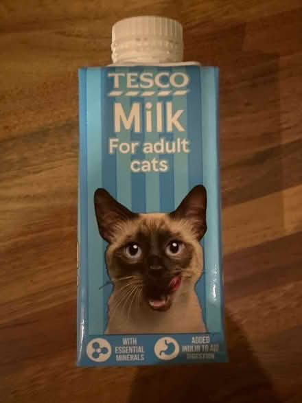 Photo of free Cat milk (CO4 9 Colchester) #1