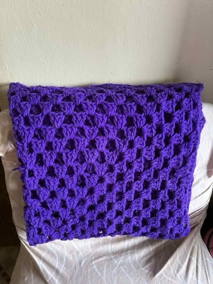 Photo of free Throw Blanket (1711 Randall Avenue, Bronx) #1