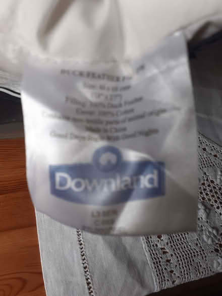 Photo of free Feather pillows (Slack Lane DE22) #2