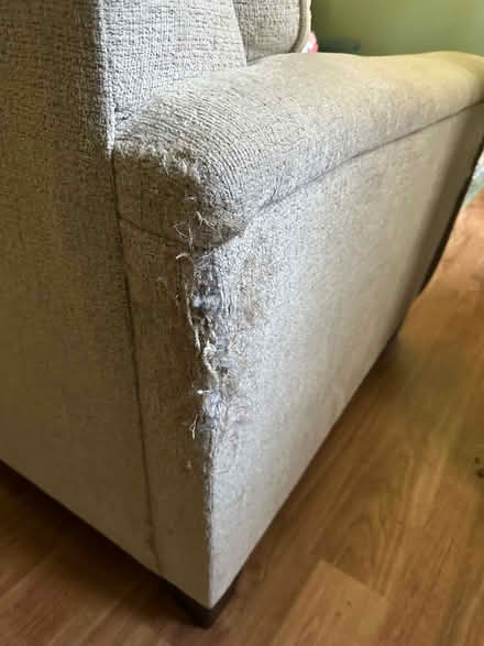 Photo of free Couch (West side 9th and Stadium) #2