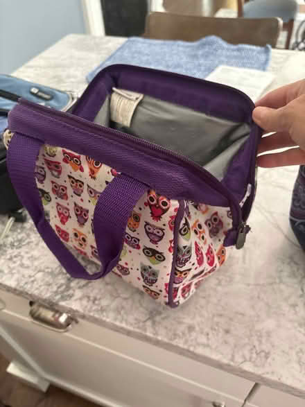 Photo of free Lunch boxes and bag (Wayland (near Claypit Hill)) #2