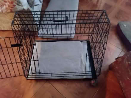 Photo of free Dog car crate (Mousehold NR3) #1