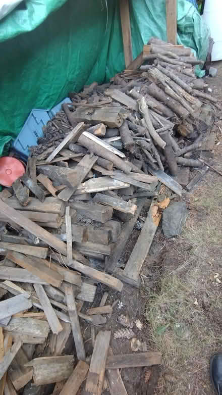 Photo of free Firewood (Fircrest) #1