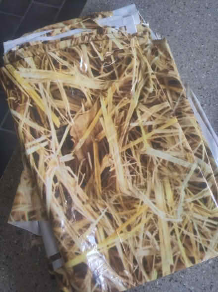 Photo of free Kit for a Hoe Down party (Cambridge, CB5) #4
