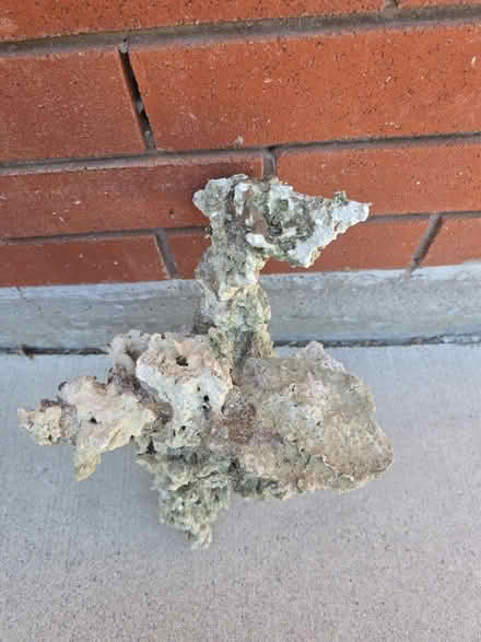 Photo of free Aquarium live rock (dead) (Georgetown Ontario) #2