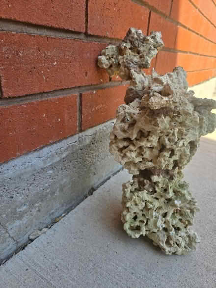 Photo of free Aquarium live rock (dead) (Georgetown Ontario) #3