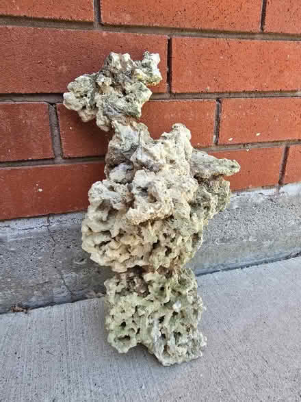 Photo of free Aquarium live rock (dead) (Georgetown Ontario) #4