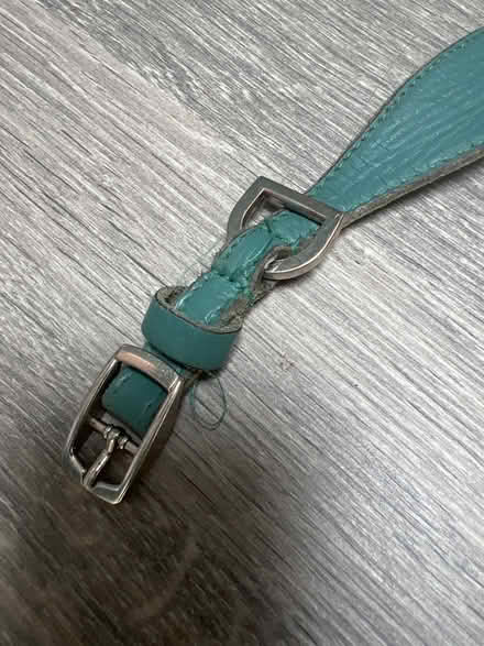 Photo of free Grey Dog Collar. For Sighthounds. Good condition. (Southsea PO4) #2
