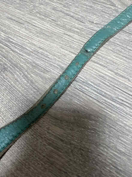 Photo of free Grey Dog Collar. For Sighthounds. Good condition. (Southsea PO4) #3