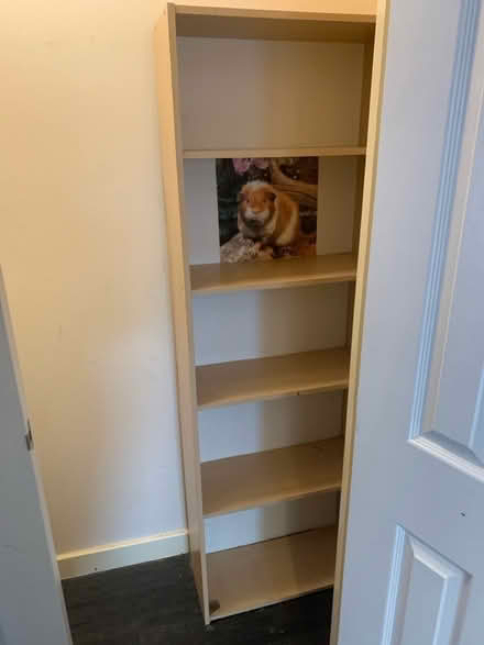 Photo of free Photo of shelves (HR2) #1