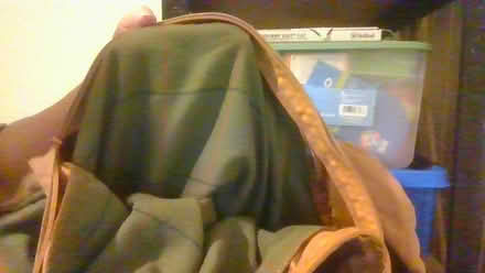 Photo of free Dog duvet (BA2) #1
