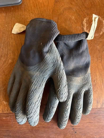 Photo of free Gardening gloves (West end G4) #2