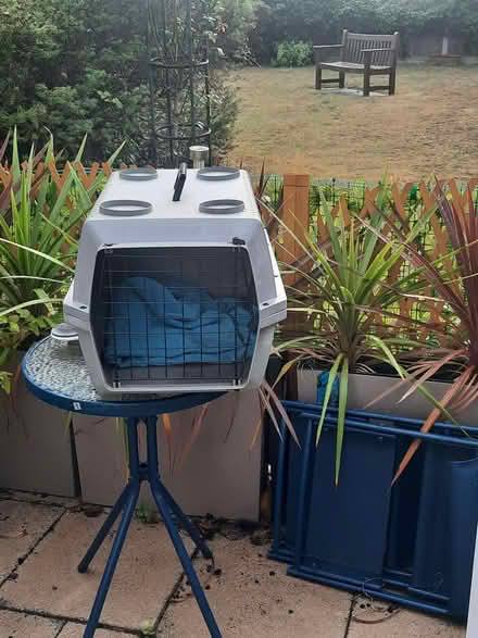 Photo of free Cat/small dog carrier (Keyworth NG12) #2