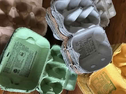 Photo of free Egg Boxes (Edgbaston B15) #1