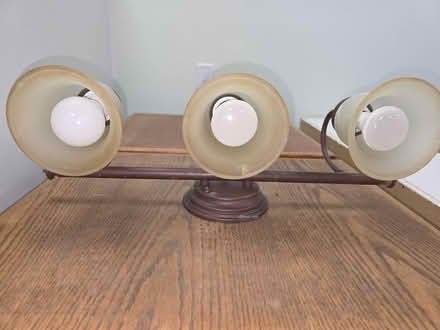 Photo of free Bathroom light fixture (Shadowridge area of Vista) #4