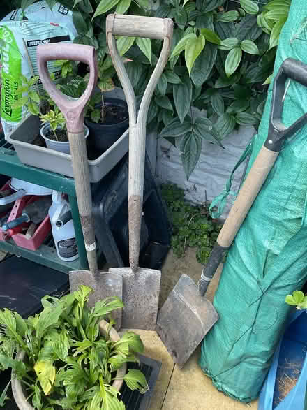 Photo of free 3 garden spades (Middlewood S6) #1