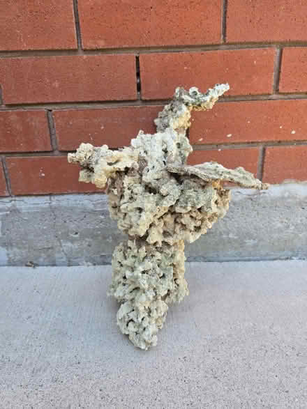 Photo of free Aquarium live rock (dead) (Georgetown Ontario) #1