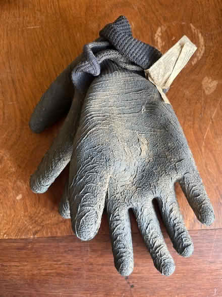 Photo of free Gardening gloves (West end G4) #1