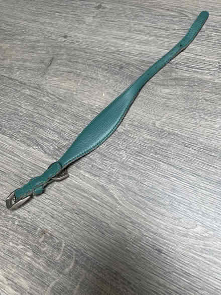 Photo of free Grey Dog Collar. For Sighthounds. Good condition. (Southsea PO4) #4