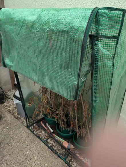 Photo of free Grow bag greenhouse x2 (St Ann's NG3) #1