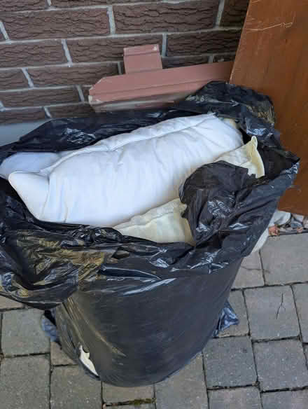 Photo of free pillows (Walkley/Riverside) #1