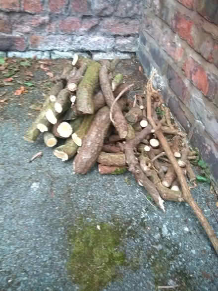 Photo of free Logs (Wallasey CH44) #1