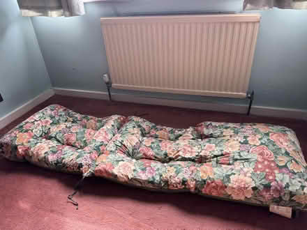 Photo of free Sun lounger cushion (Epping CM16) #2
