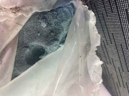 Photo of free Blue play sand and feeding cup (Partington M31) #2