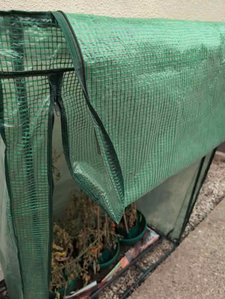 Photo of free Grow bag greenhouse x2 (St Ann's NG3) #2