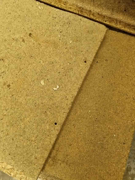Photo of free Chipboard flooring (Wrose BD18) #2