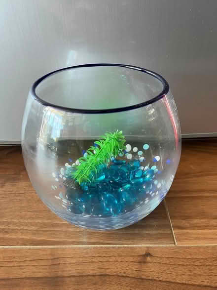 Photo of free Fish Bowl (Yonge/Dundas Area) #1